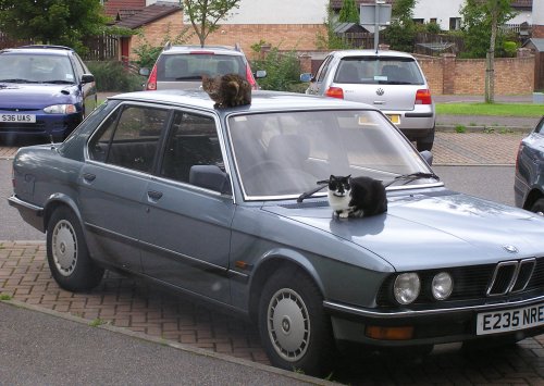 BMW 520i 525e 1981 1988 Haynes Service Repair Manual UK - sagin